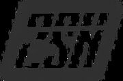logo_2sn_1